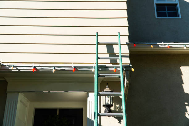 Best Vinyl Siding Installation  in Bonner Springs, KS